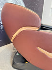 4D Space Capsule Motion Massage Chair